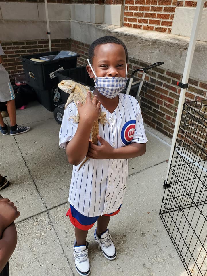 Animal day 1