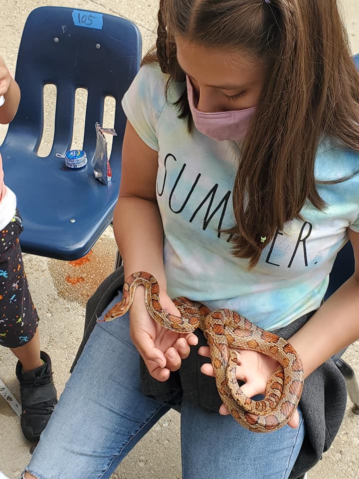 Animal day 4