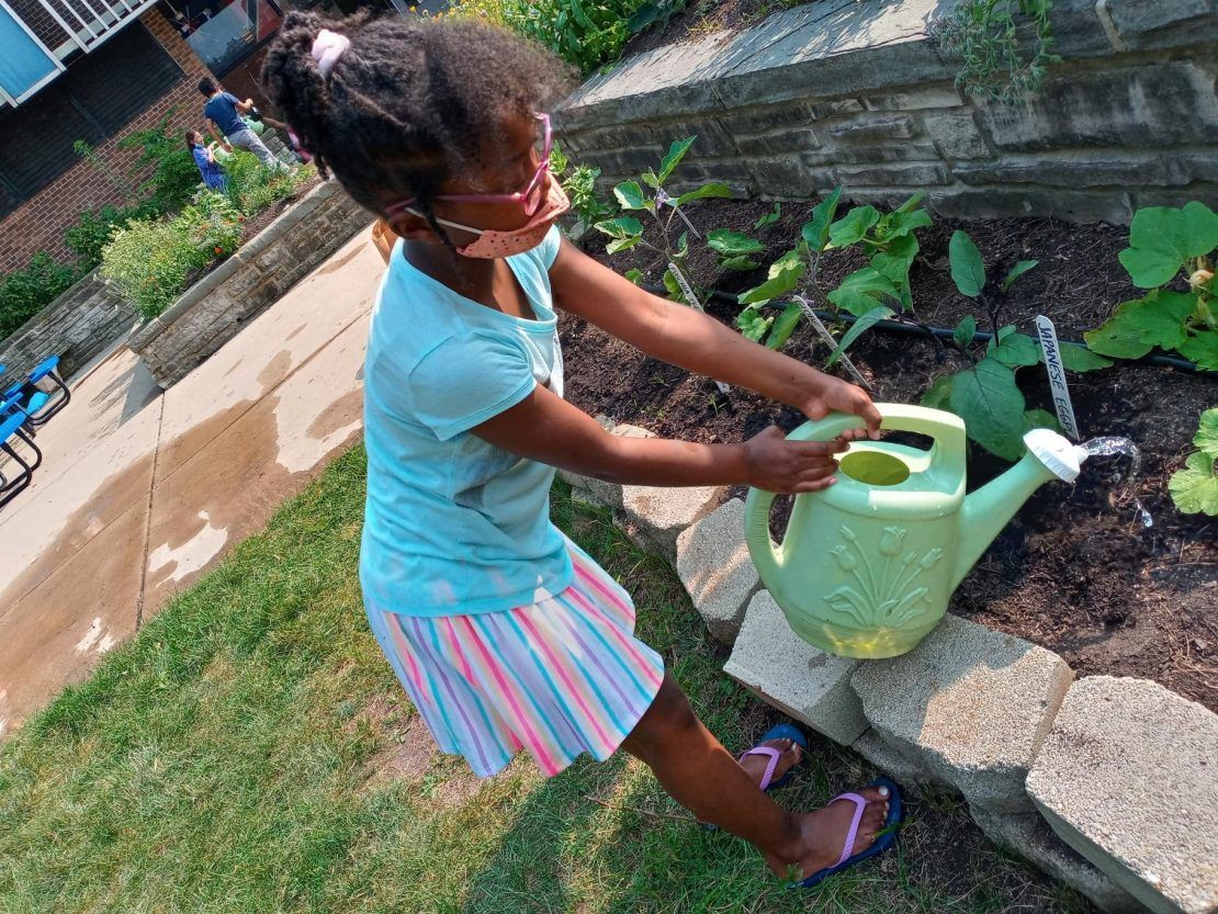 Gardening 2